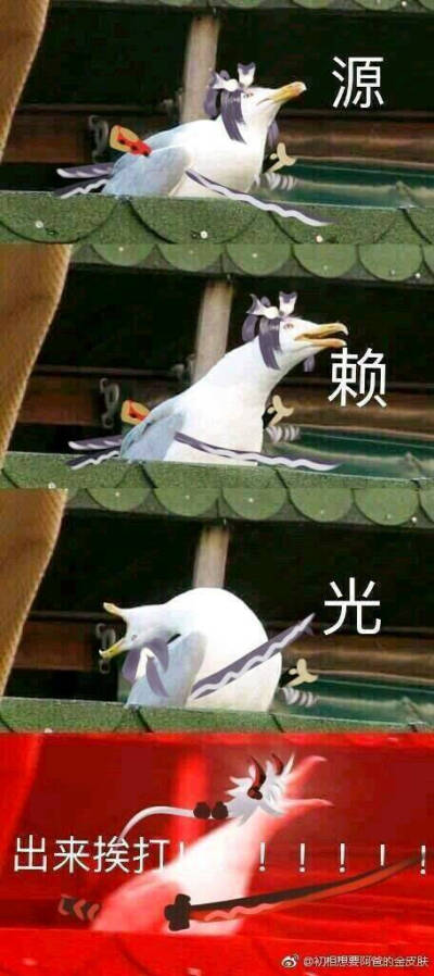 痒痒鼠