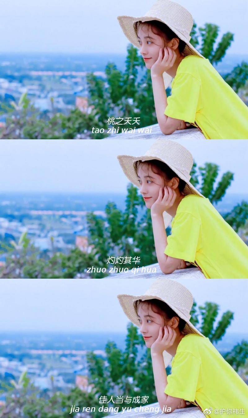 小鞠三宫格壁纸