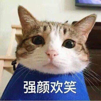 强颜欢笑