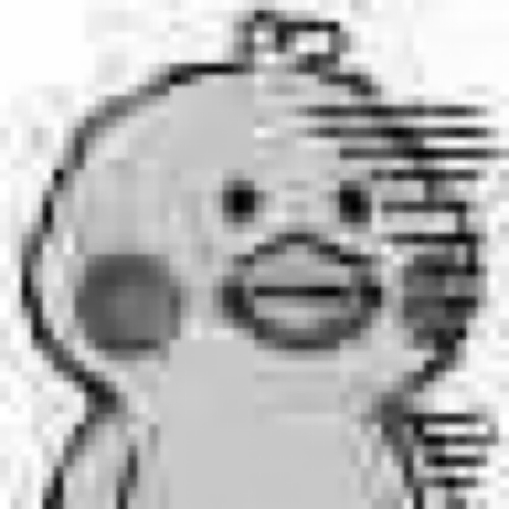 鹦鹉兄弟表情包