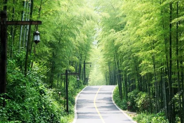 华夏绝美 溧阳南山竹海
南山竹海的开发是以山为主的。南山竹海旅游区是一个集资源利用、生态保护和旅游观光于一体的世外桃源。这里的生态环境宜人，山水相映成趣，风景如诗如画，方圆几十里无一丝污染。