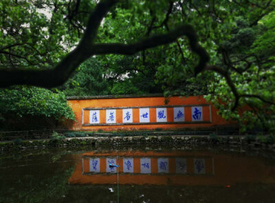 清凉静域远烦嚣，淅沥天花散雨飘。