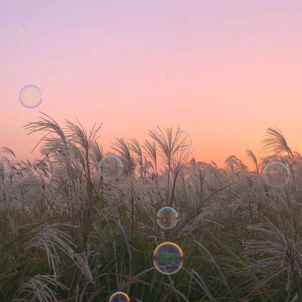 梦幻天空、夜景壁纸