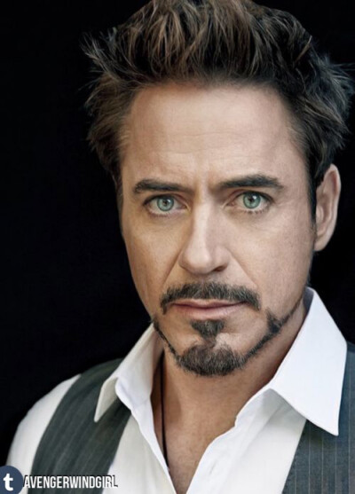 唐尼 妮妮 RDJ 钢铁侠 小罗伯特唐尼 漫威