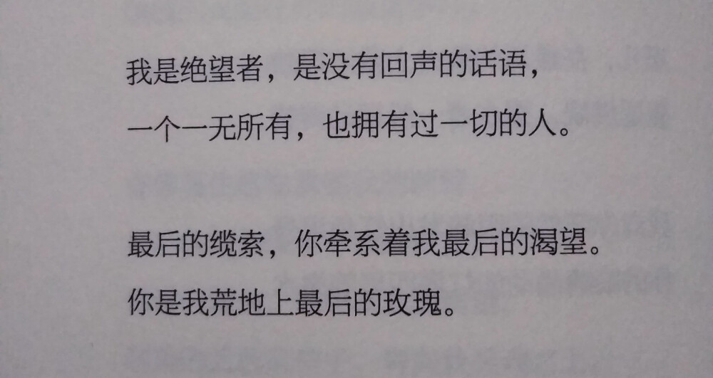 你是我荒地上最后的玫瑰。
《二十首情诗和一首绝望的歌》