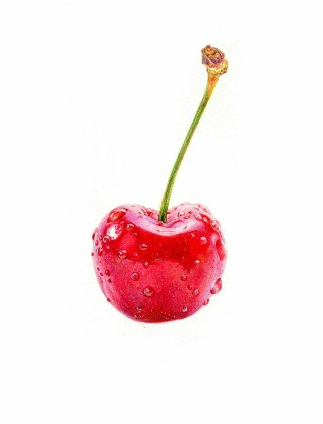 彩铅手绘(樱桃)
作者：@溶萱