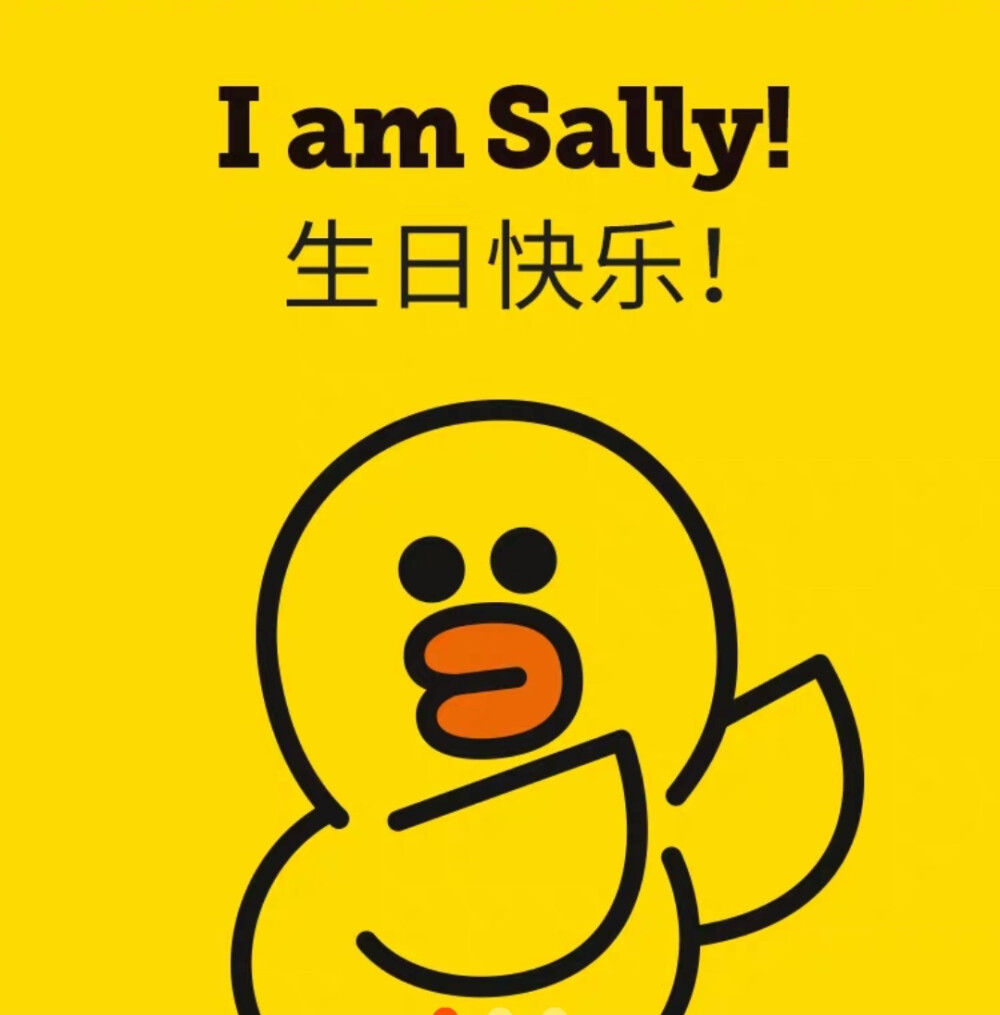 Sally莎莉鸡