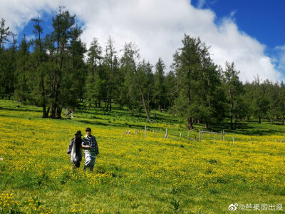 向佐郭碧婷