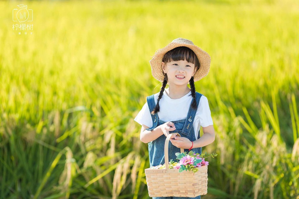 稻田