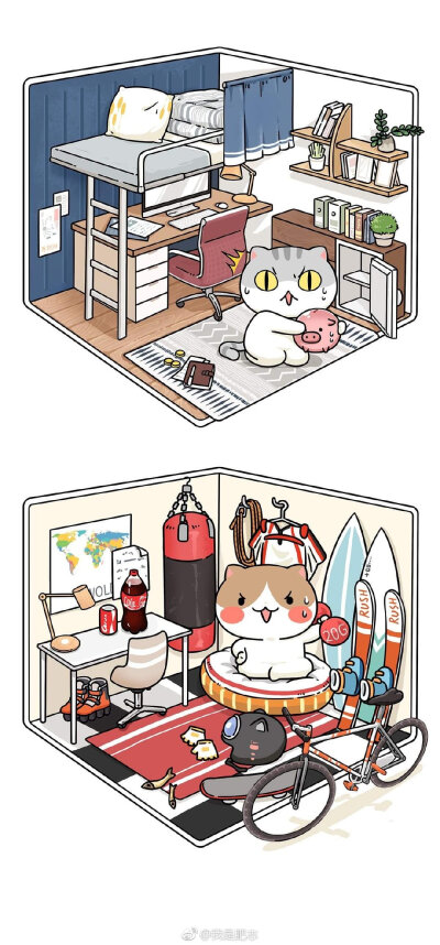 猫猫住所