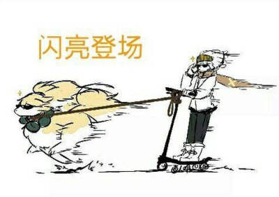 佩利 帕洛斯