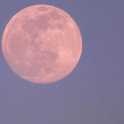 “若逢新雪初霁 满月当空 下面平铺着皓影 上面流转着亮银 而你带笑地向我走来 月色和雪色之间 你是第三种绝色 ”
-----余光中《绝色》