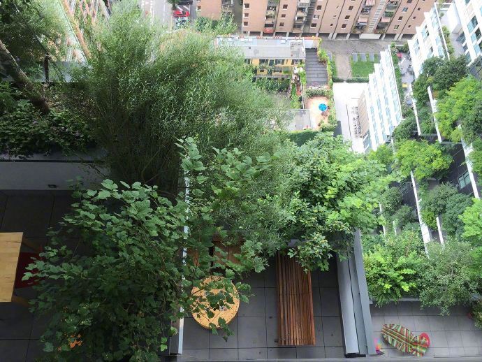 【垂直森林 Bosco Verticale】坐落在米兰的一对公寓，两栋楼共计8,900平方米的露台上、种了900多棵树。作为最新的绿色节能循环建筑，这里的雨水和污水都会经过处理后循环利用，树木和植物可以降低光污染并散热。对种植的植物也会进行选择，一般会选择根系不那么发达的藤或灌木，同时防穿刺的防水材料可以防止树根对建筑的破快。