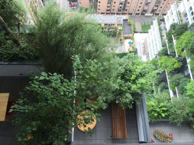 【垂直森林 Bosco Verticale】坐落在米兰的一对公寓，两栋楼共计8,900平方米的露台上、种了900多棵树。作为最新的绿色节能循环建筑，这里的雨水和污水都会经过处理后循环利用，树木和植物可以降低光污染并散热。对种…