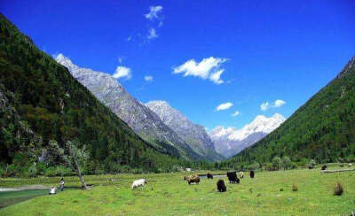 【退休前一定要去过的99个地方——四川四姑娘山】四姑娘是座山，她看似冰冷，却吸引着一批又一批的信徒前往征服。