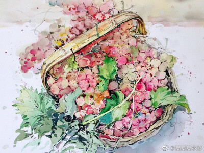 水彩水彩 （作者： 夏夏夏水彩 ）绘画题材：水果花卉