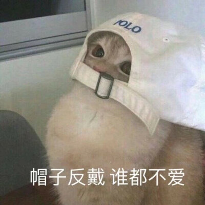 帽子反戴，谁都不爱