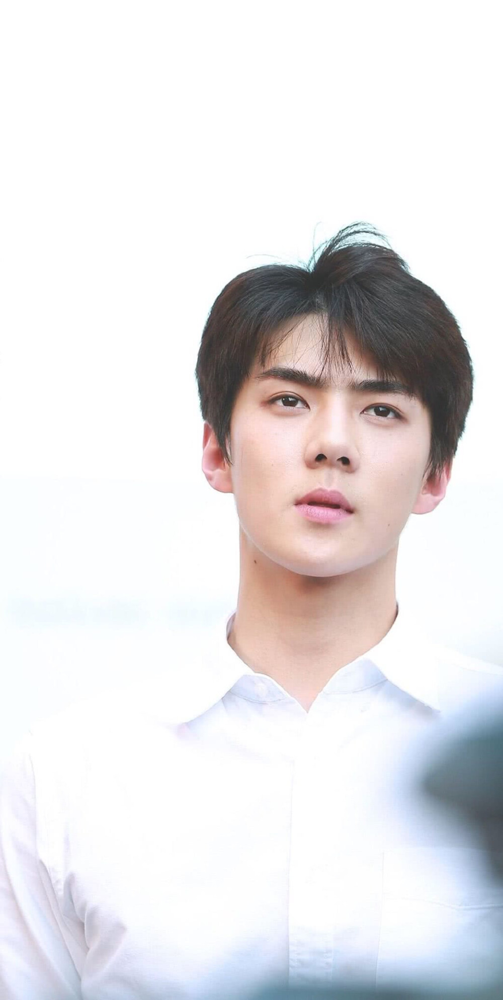 吴世勋 sehun