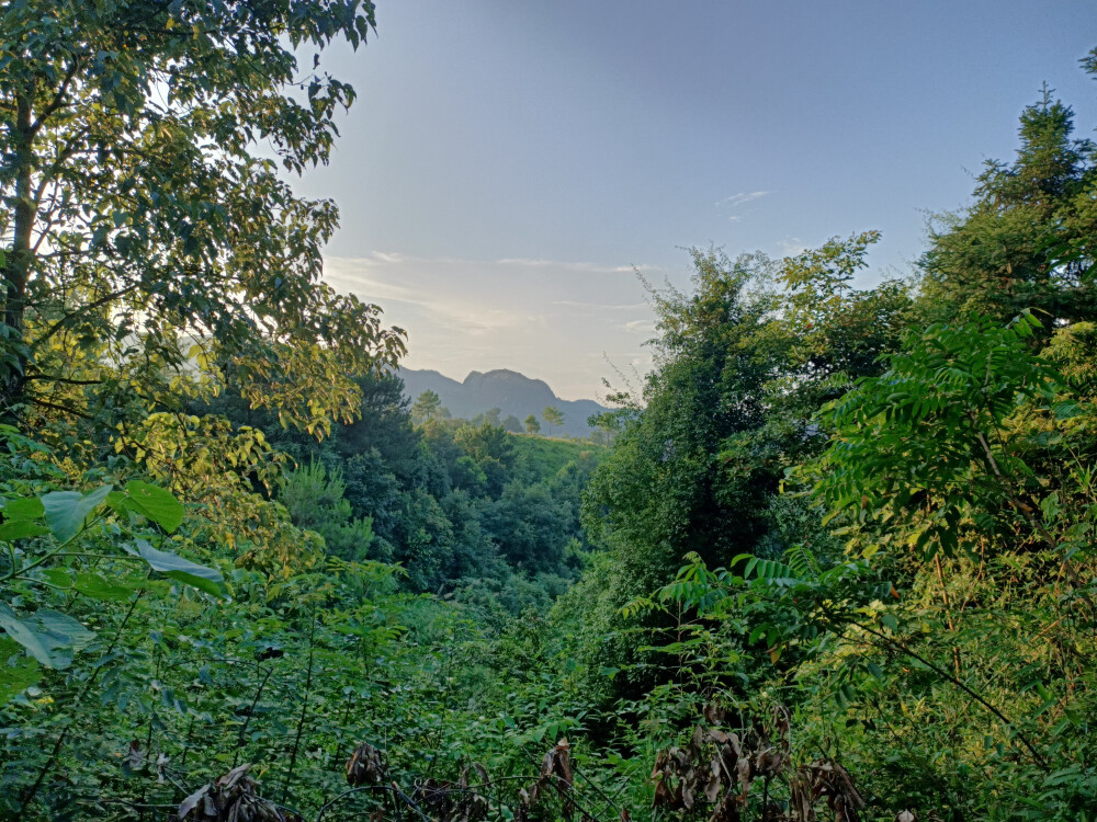 祖国大好河山