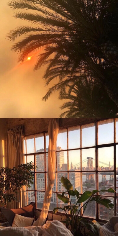 壁纸
