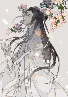 二哈和他的白猫师尊