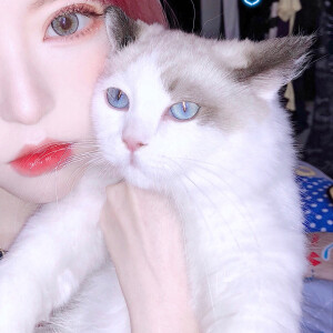 二传注明  野璎