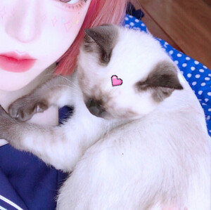 二传注明  野璎