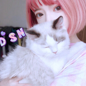 二传注明  野璎