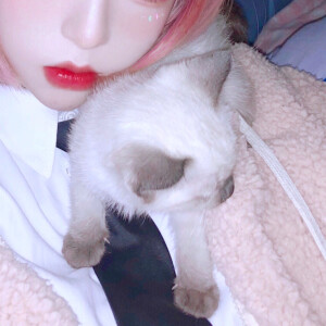 二传注明  野璎