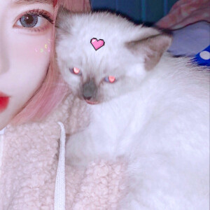 二传注明  野璎