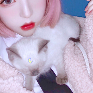 二传注明  野璎