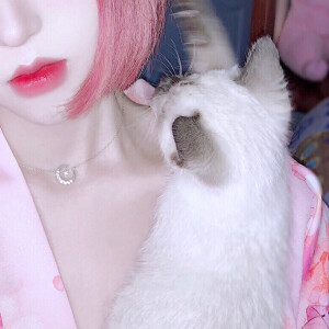 二传注明  野璎