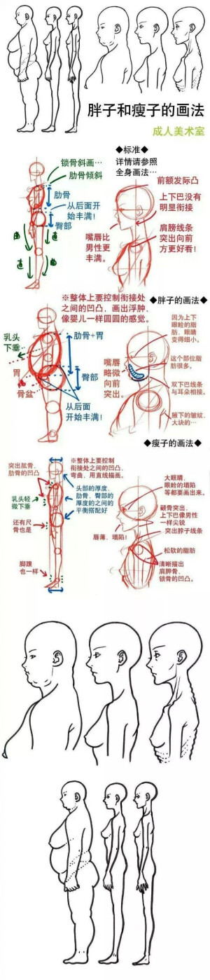 教你如何画画 - 堆糖