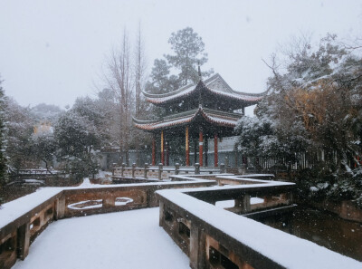 还是去年的雪。