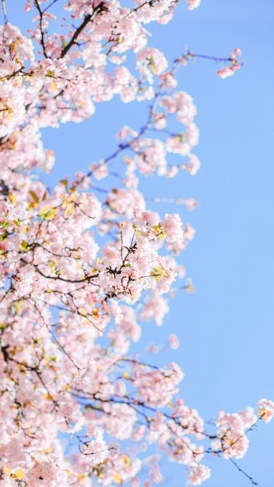 日剧里常常有句台词是‘真是个温柔的人啊’。
怎么说呢我太喜欢温柔的人了。
是雨天行车路过水坑会故意放慢速度的人，
是关门时轻手轻脚的人，
是会将用过的纸巾好好折起再扔掉的人，
是能照顾他人情绪的人，
是能化…