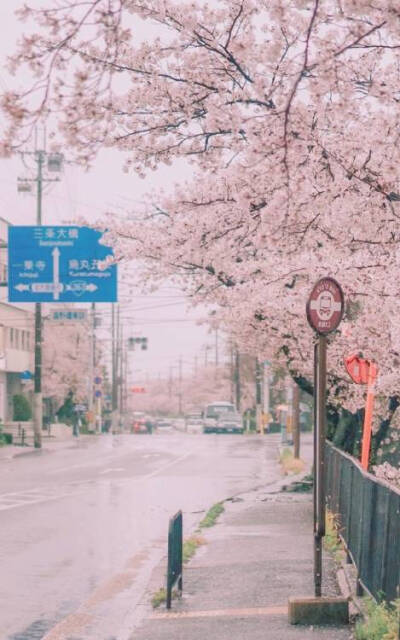 日剧里常常有句台词是‘真是个温柔的人啊’。
怎么说呢我太喜欢温柔的人了。
是雨天行车路过水坑会故意放慢速度的人，
是关门时轻手轻脚的人，
是会将用过的纸巾好好折起再扔掉的人，
是能照顾他人情绪的人，
是能化…