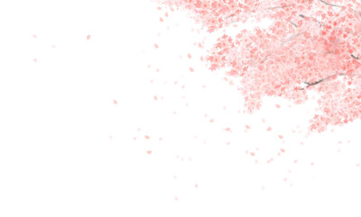 日剧里常常有句台词是‘真是个温柔的人啊’。
怎么说呢我太喜欢温柔的人了。
是雨天行车路过水坑会故意放慢速度的人，
是关门时轻手轻脚的人，
是会将用过的纸巾好好折起再扔掉的人，
是能照顾他人情绪的人，
是能化…