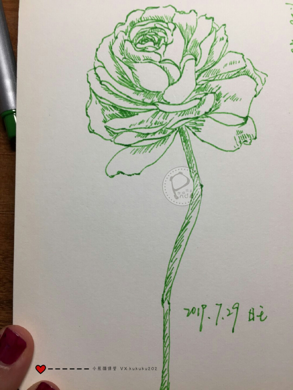 水彩古风花卉班1期——旺旺同学部分水彩作业