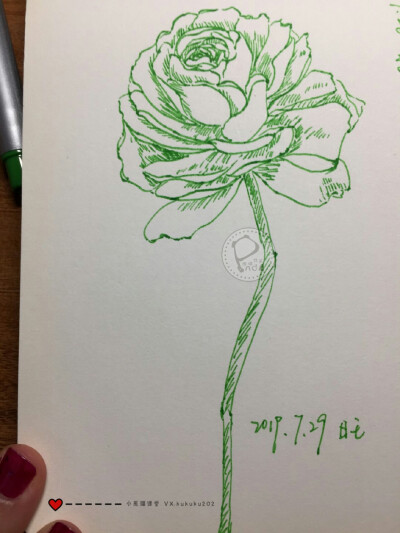 水彩古风花卉班1期——旺旺同学部分水彩作业