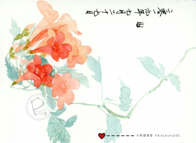 水彩古风花卉班1期——旺旺同学部分水彩作业