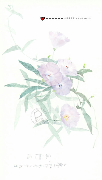 水彩古风花卉班1期——旺旺同学部分水彩作业