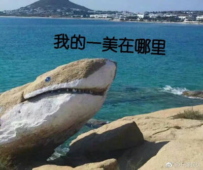 法鲨表情包