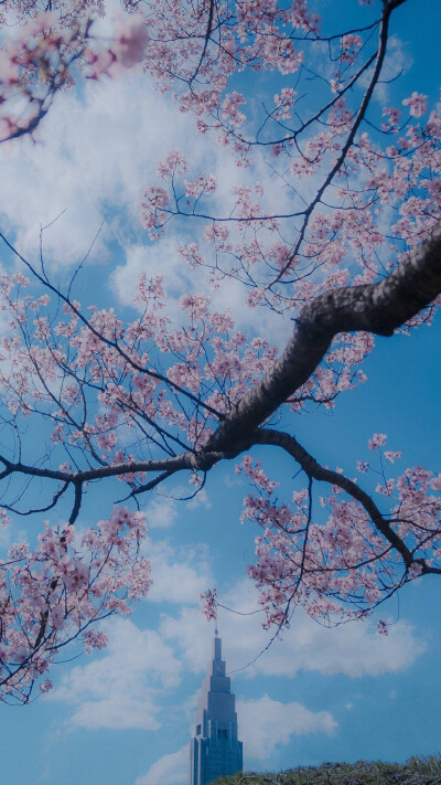 冰天雪地。打上花火。