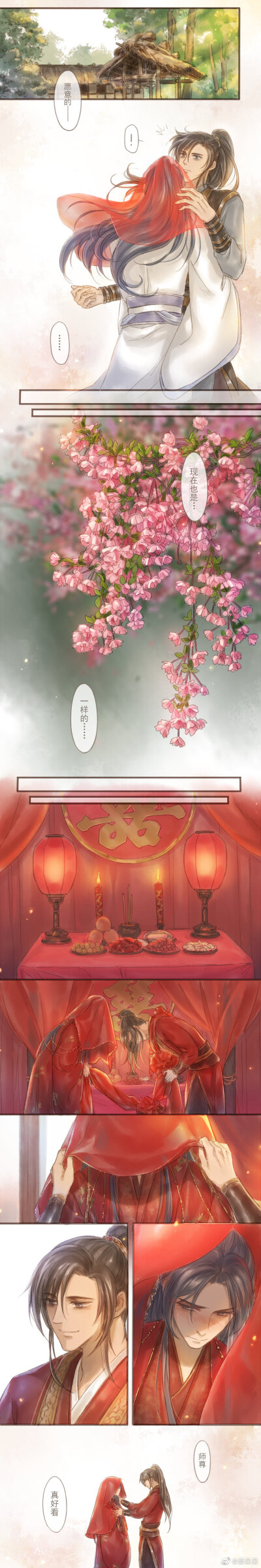 二哈和他的白猫师尊