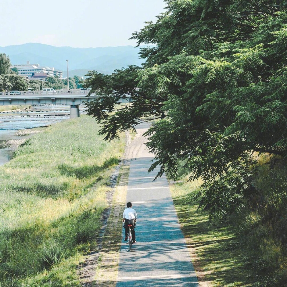 夏日安逸午后