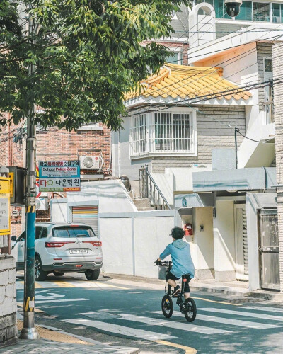 夏日安逸午后