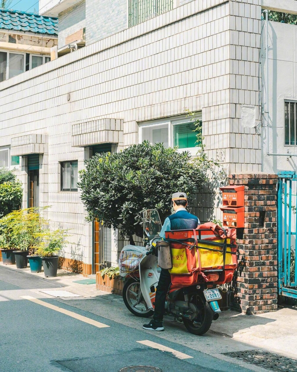 夏日安逸午后