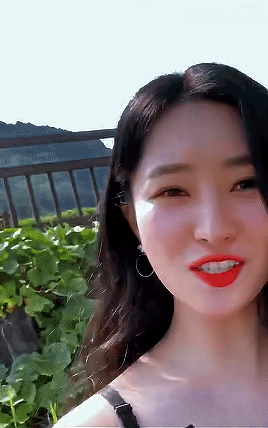 秀雅sua金宝拉丨抱图收藏专辑及该图