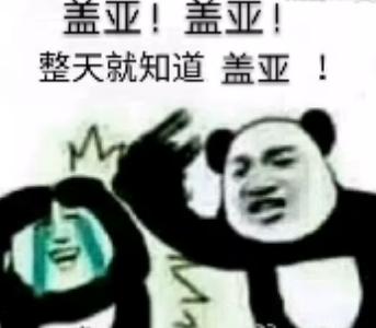 赛尔号表情包盖亚