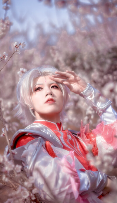 武陵仙君cosplay